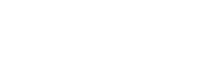 Saltlux innovation